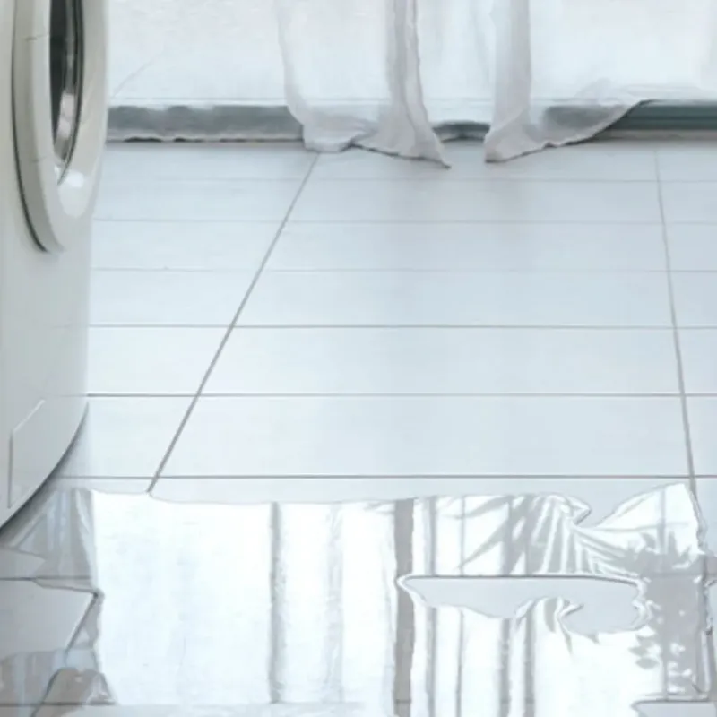 Appliance Leak Cleanup in North Hollywood, CA