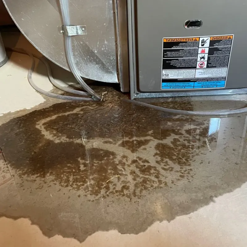 Pipe Burst and Leak Restoration in North Hollywood, CA