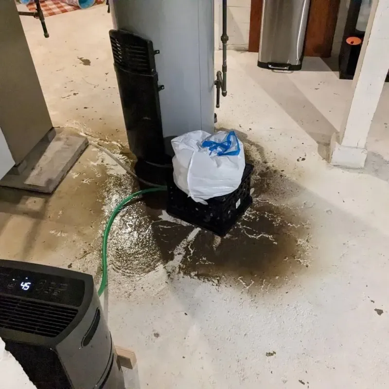 Sewage Backup Cleanup Service in North Hollywood, CA